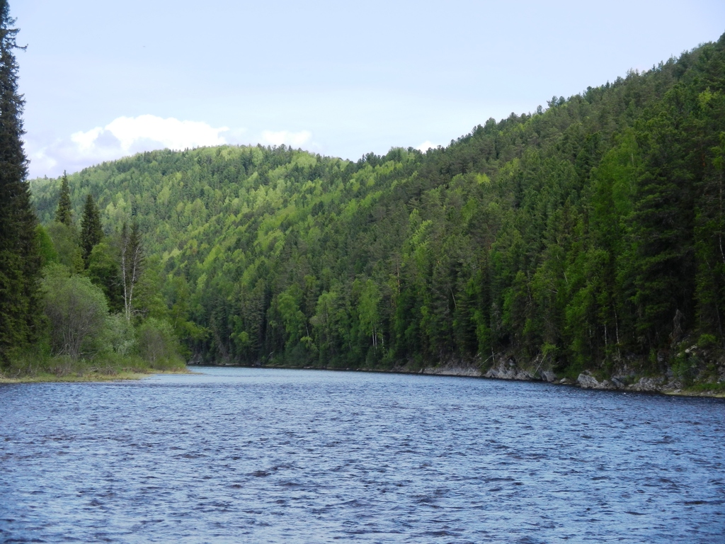 ������������� �����������