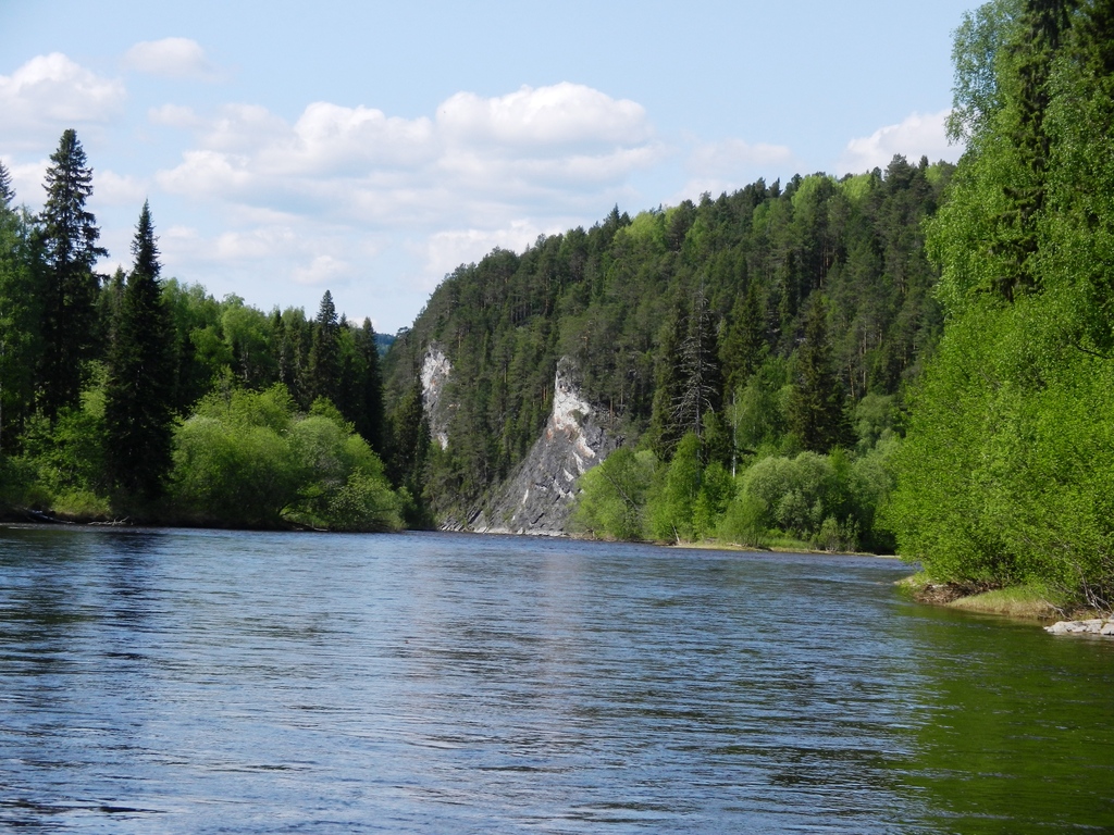 ������������� �����������