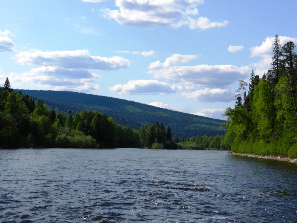 ������������� �����������