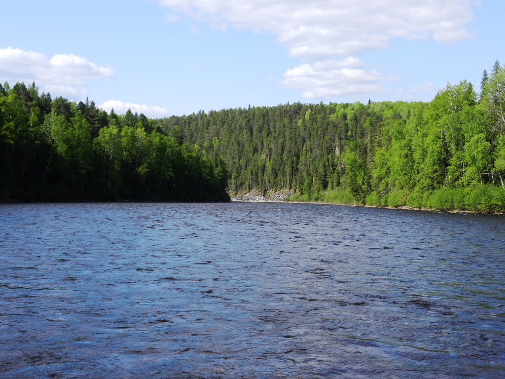 ������������� �����������