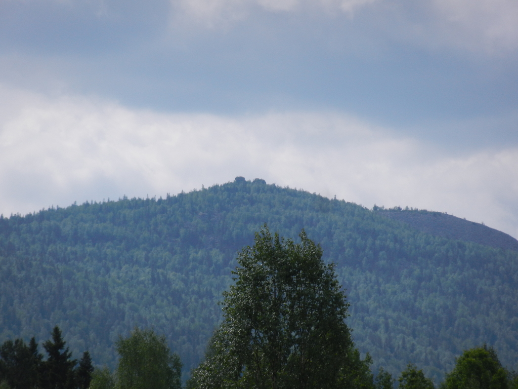 ������������� �����������