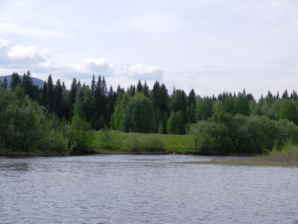 ������������� �����������