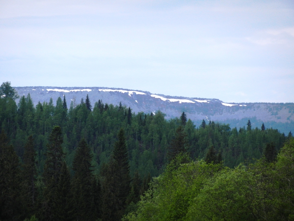 ������������� �����������