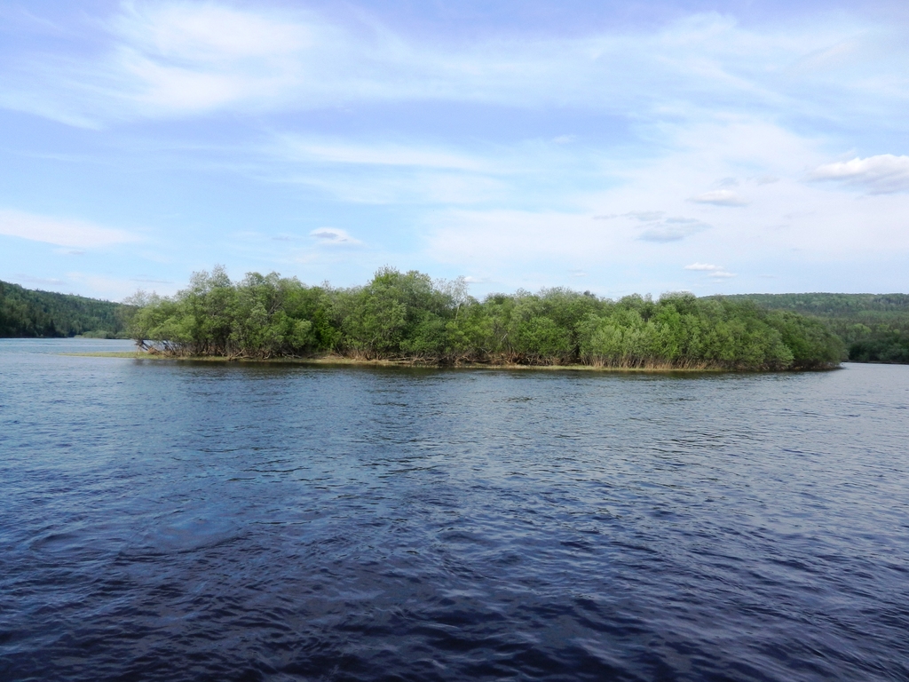 ������������� �����������