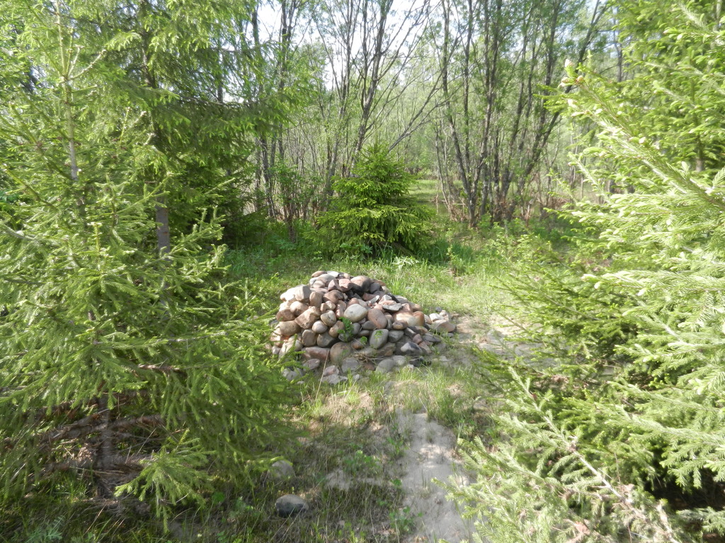 ������������� �����������