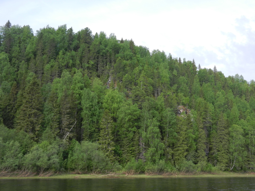 ������������� �����������