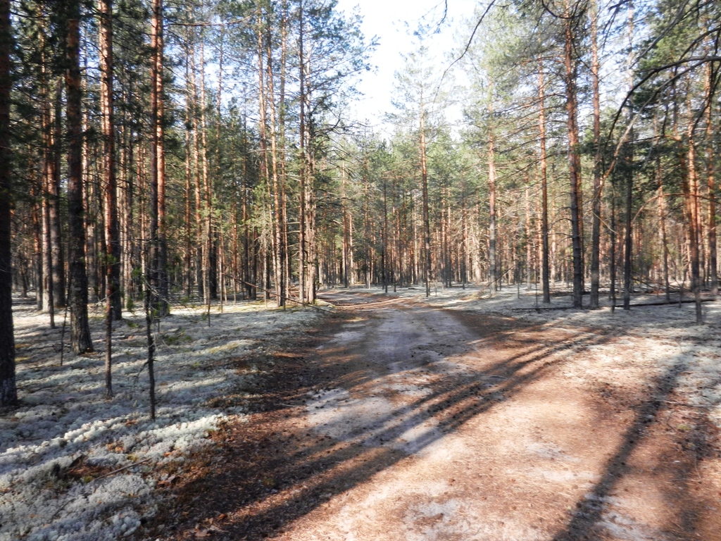 ������������� �����������