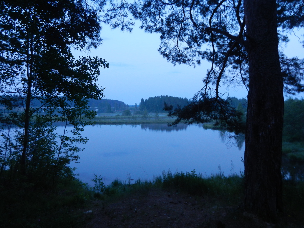 ������������� �����������