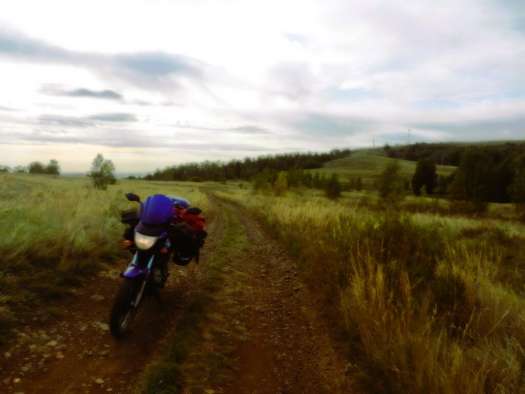 ������������� �����������