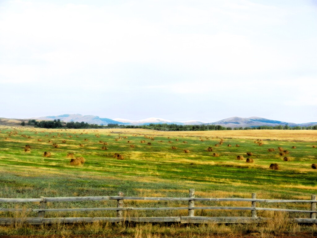 ������������� �����������