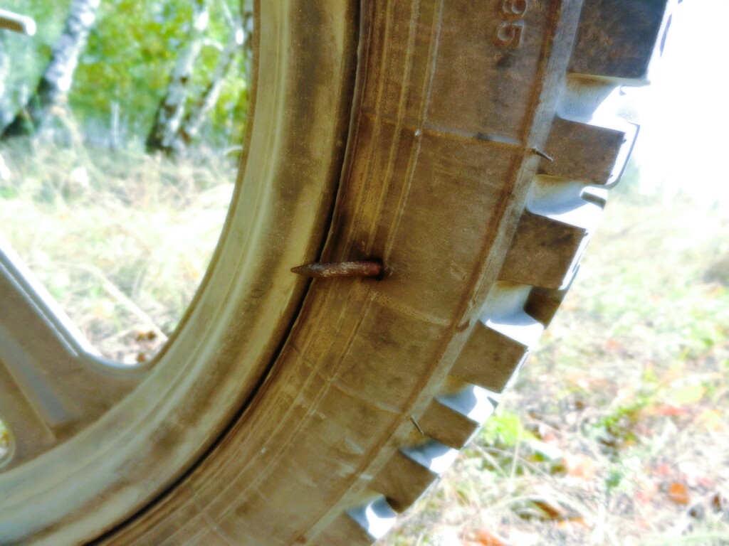 ������������� �����������