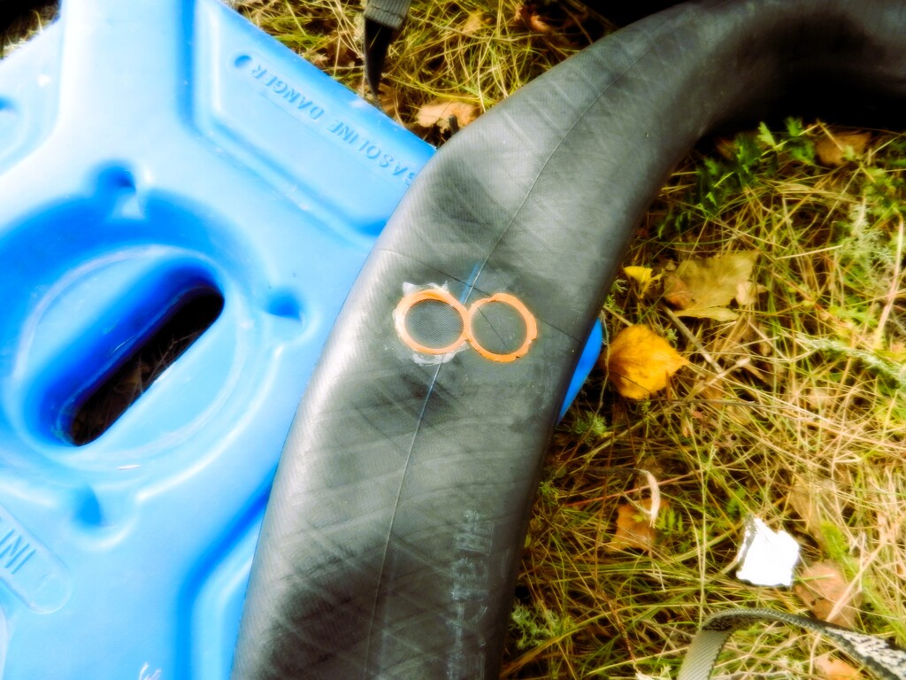 ������������� �����������