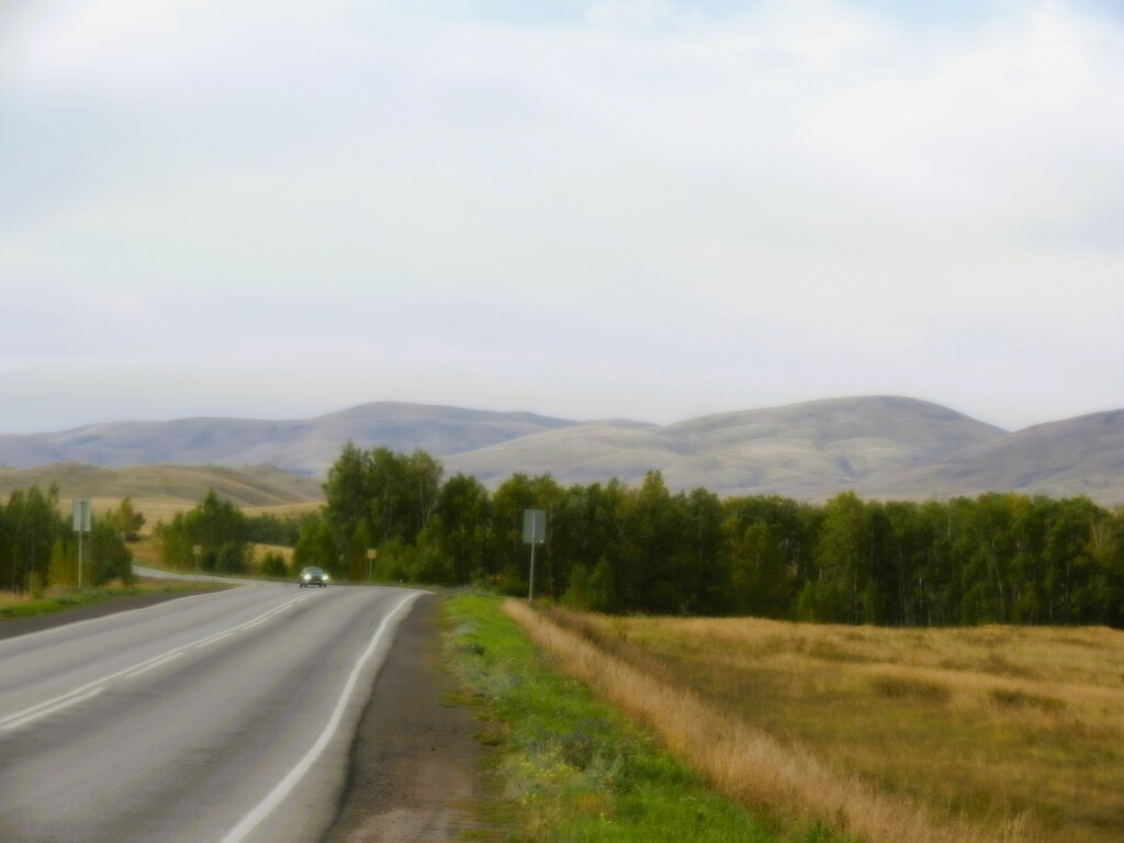 ������������� �����������