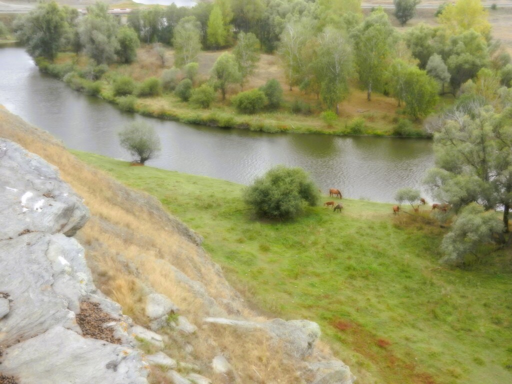 ������������� �����������