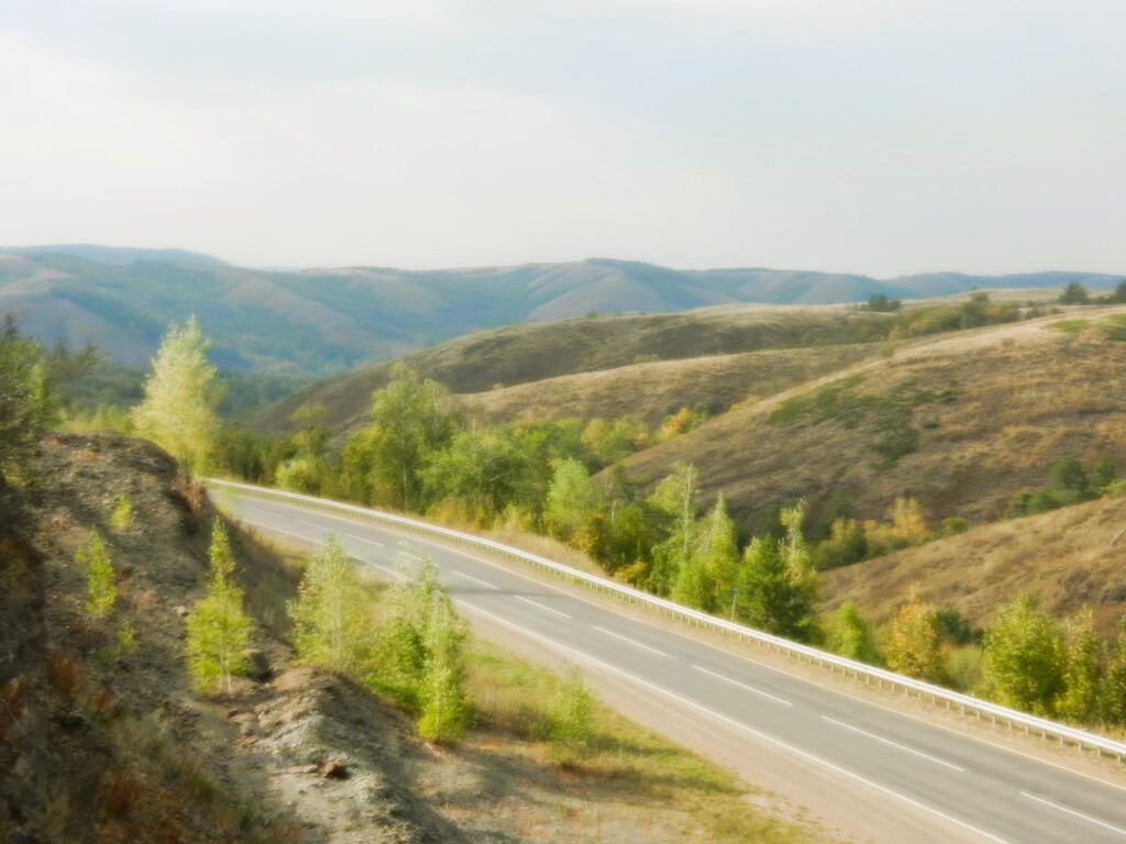 ������������� �����������