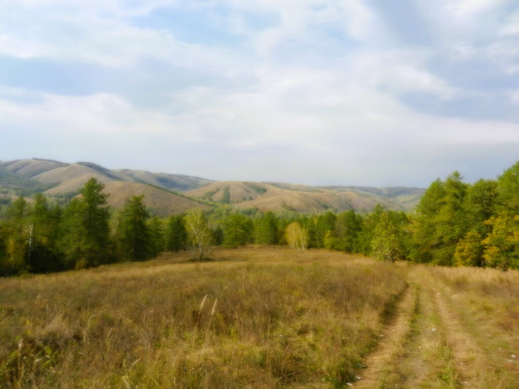 ������������� �����������