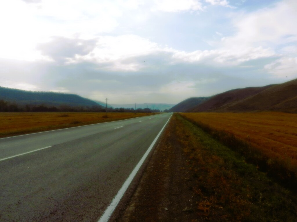 ������������� �����������