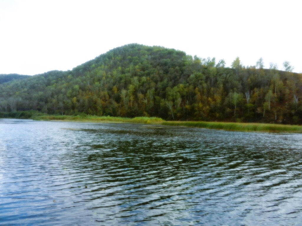 ������������� �����������