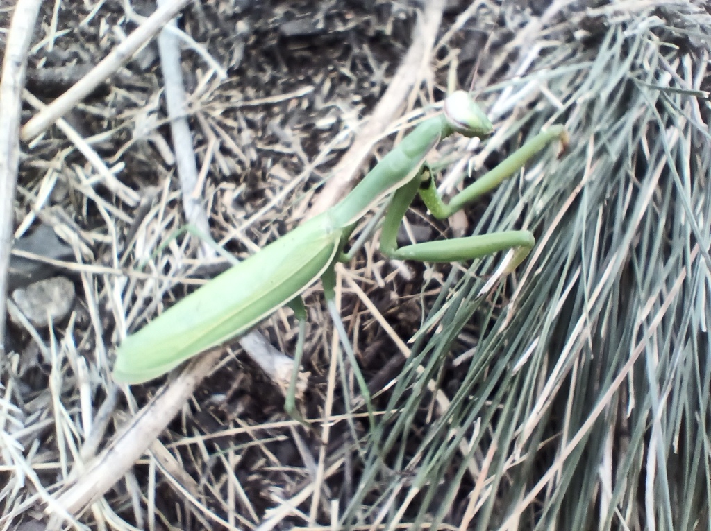 ������������� �����������