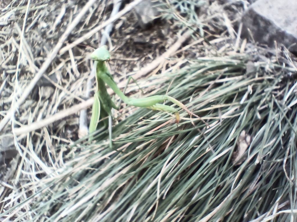 ������������� �����������