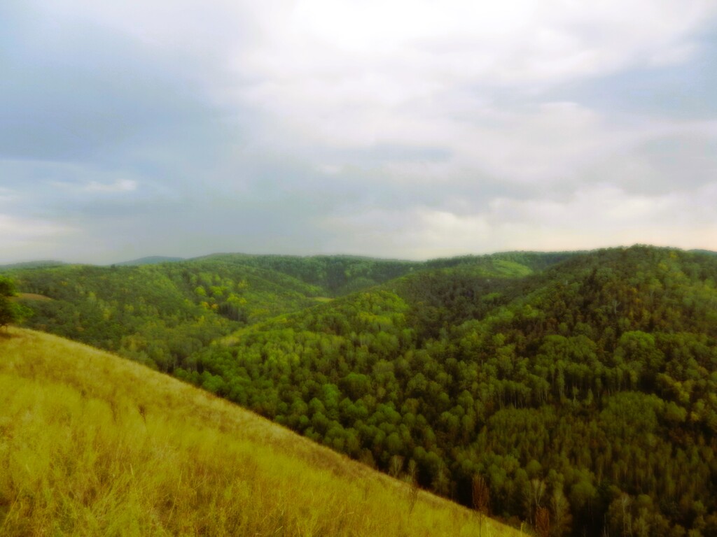 ������������� �����������