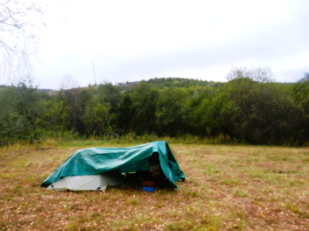 ������������� �����������