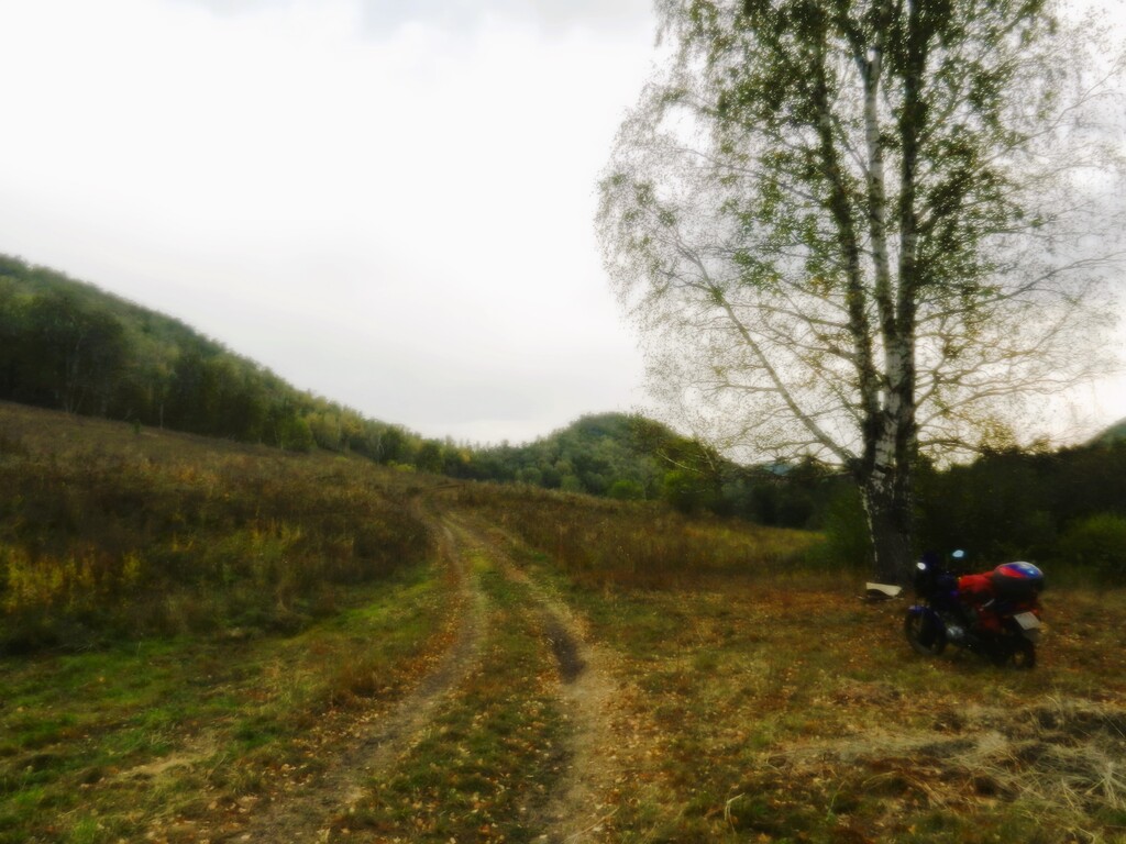 ������������� �����������