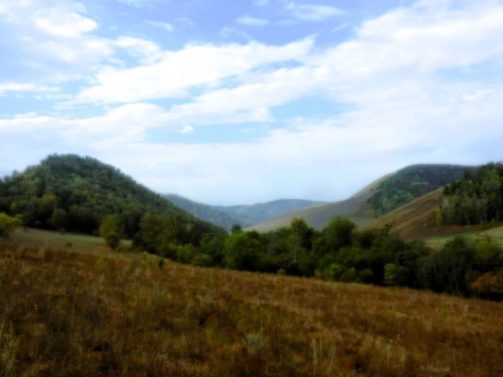 ������������� �����������