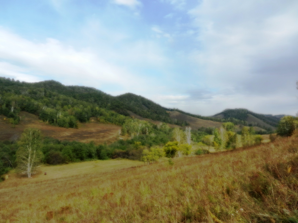 ������������� �����������