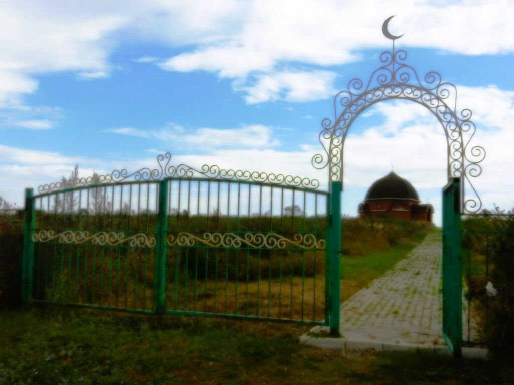 ������������� �����������