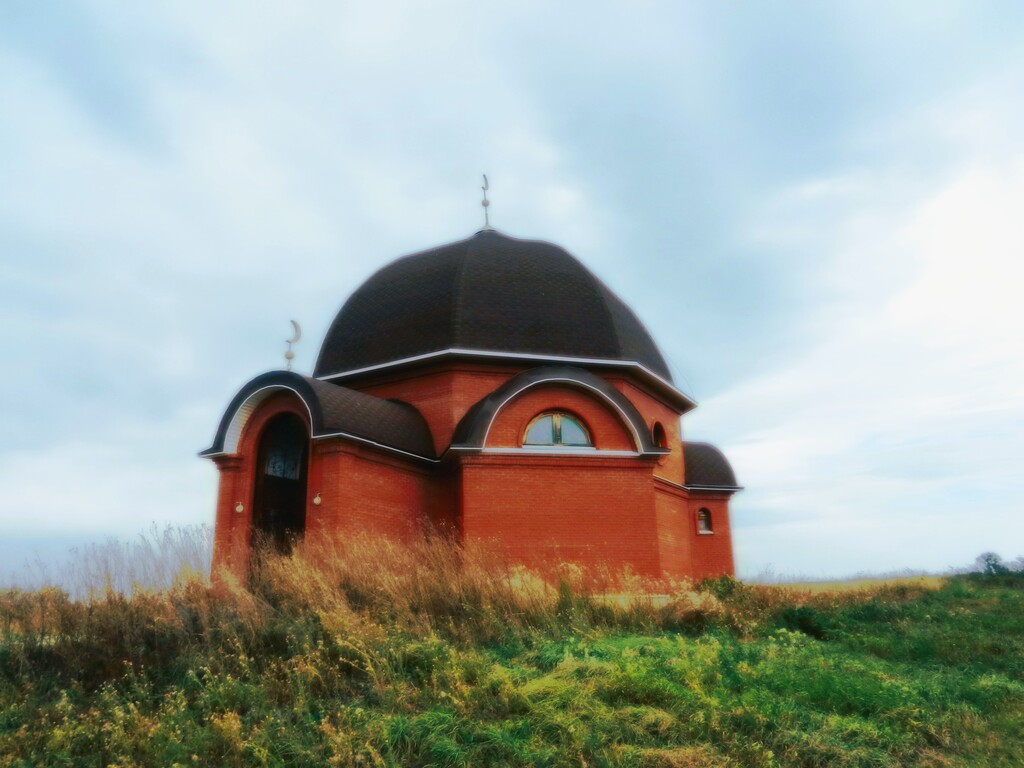 ������������� �����������