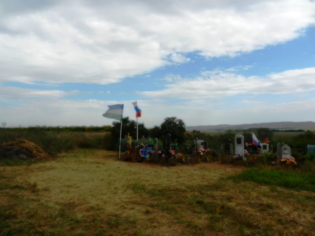 ������������� �����������