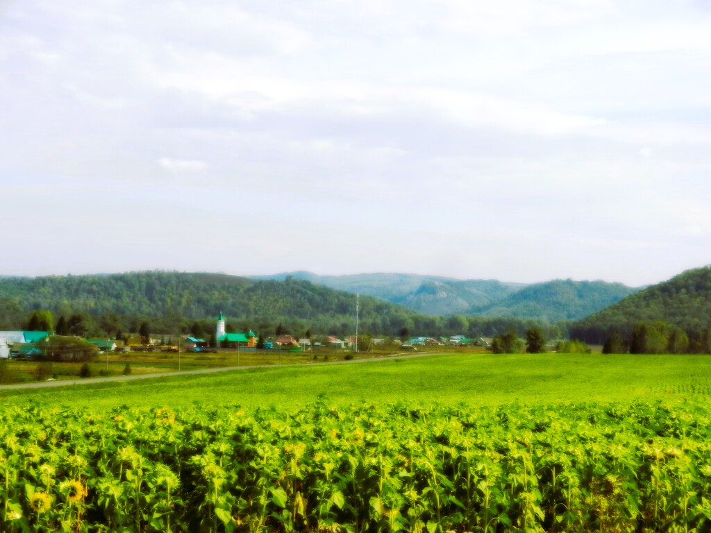 ������������� �����������