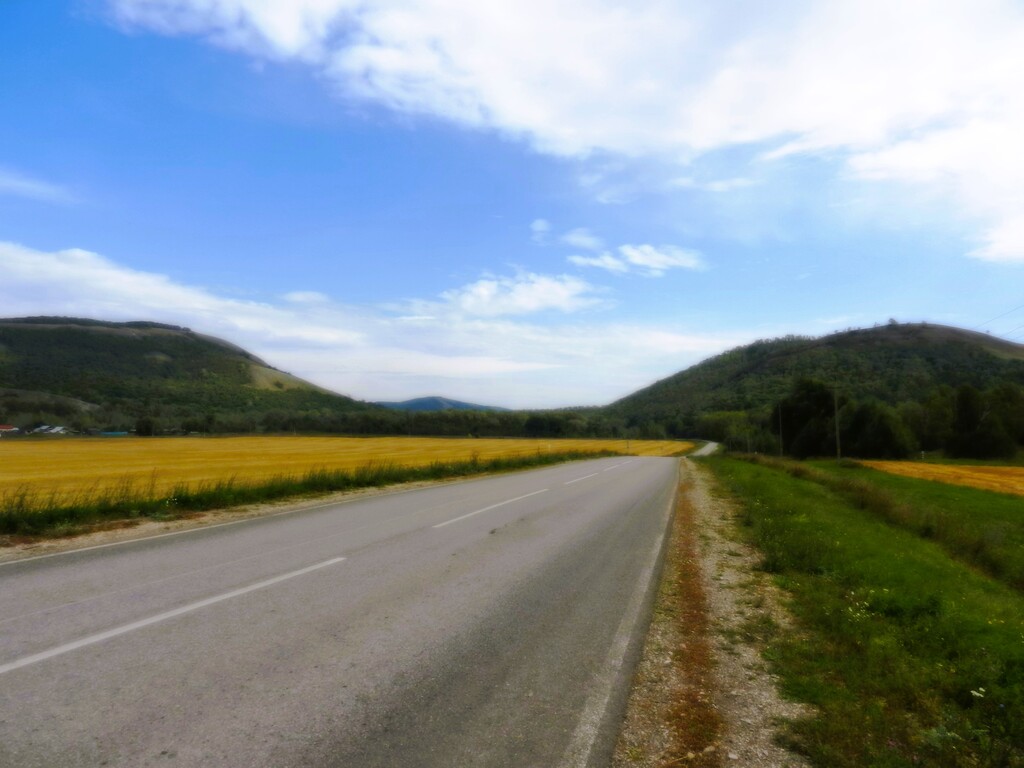 ������������� �����������