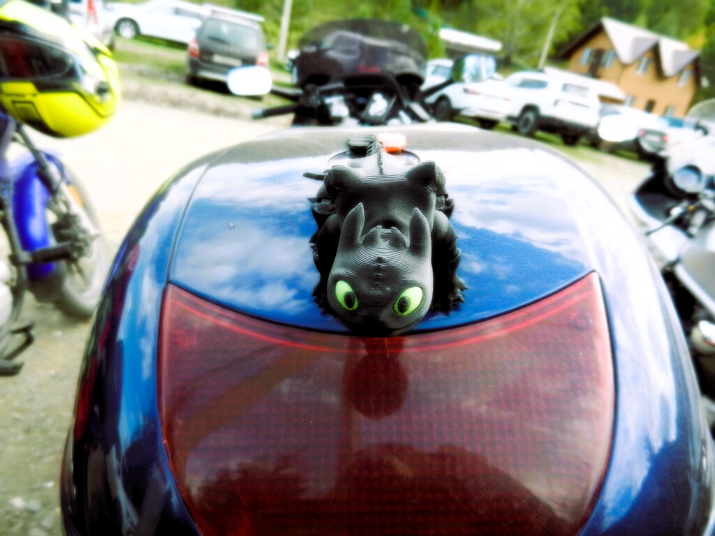 ������������� �����������