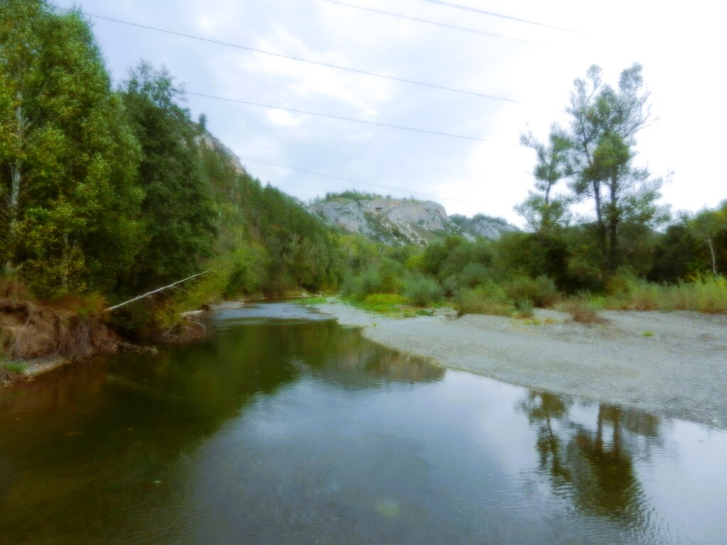 ������������� �����������