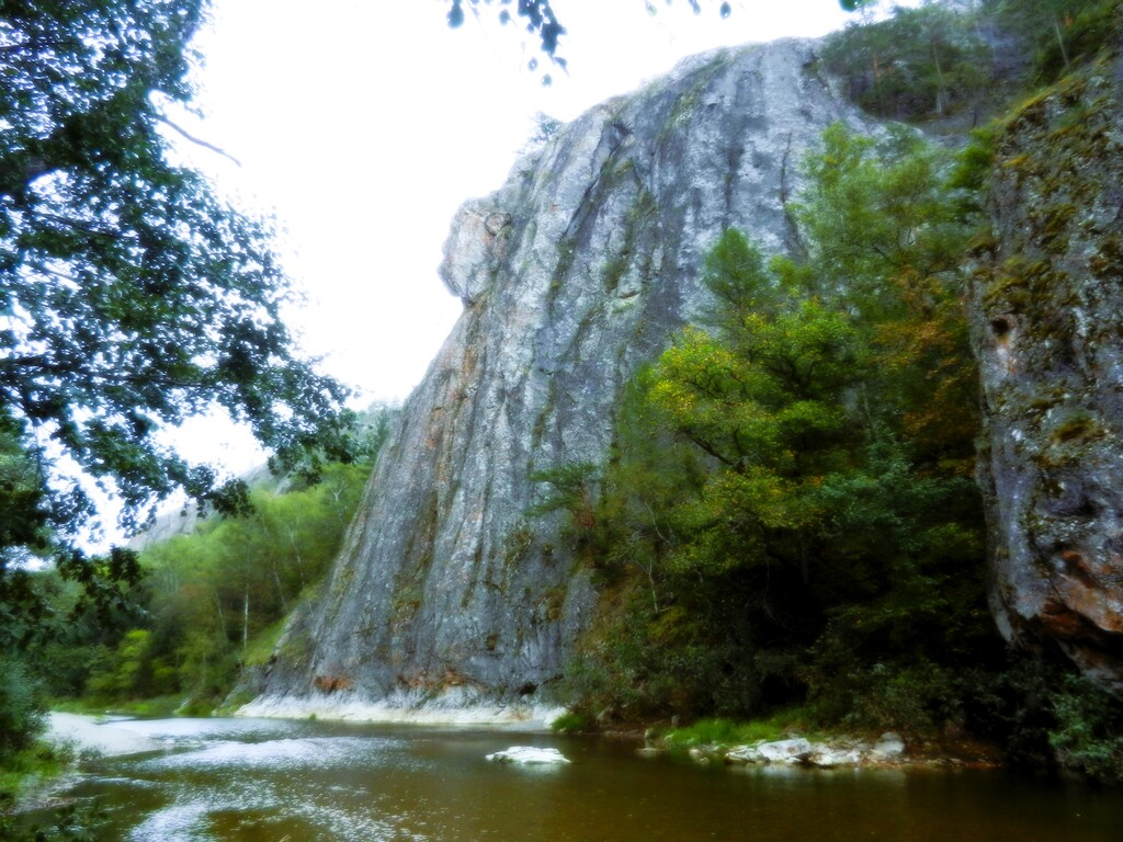 ������������� �����������