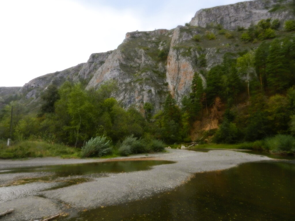 ������������� �����������