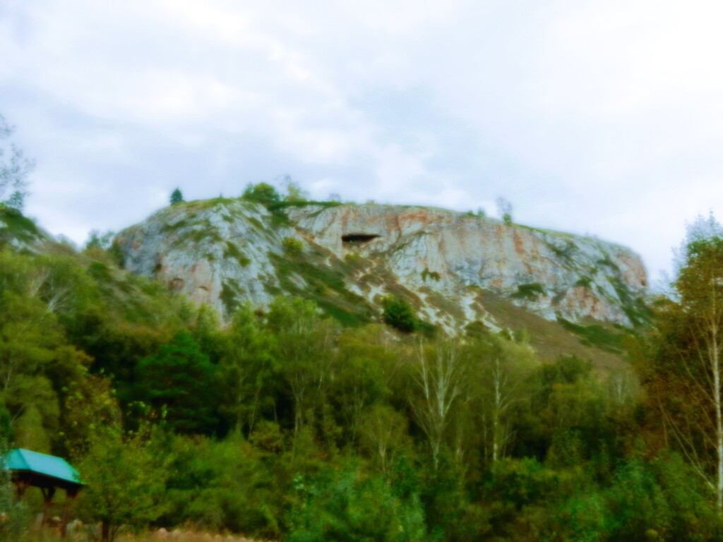 ������������� �����������