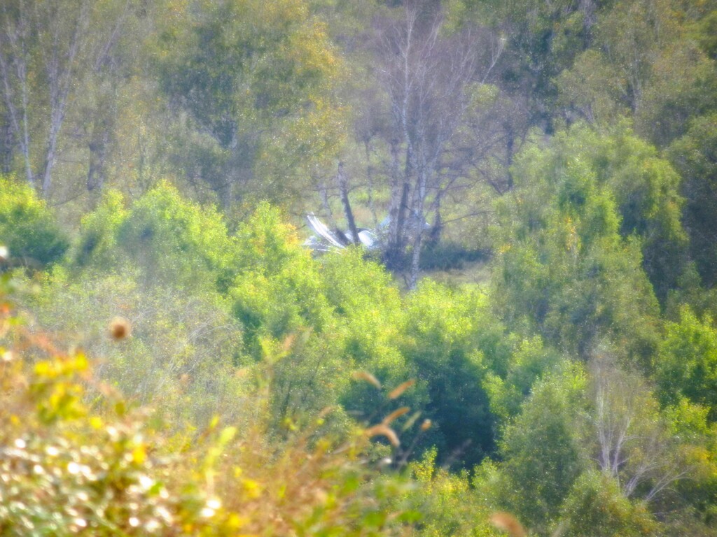 ������������� �����������