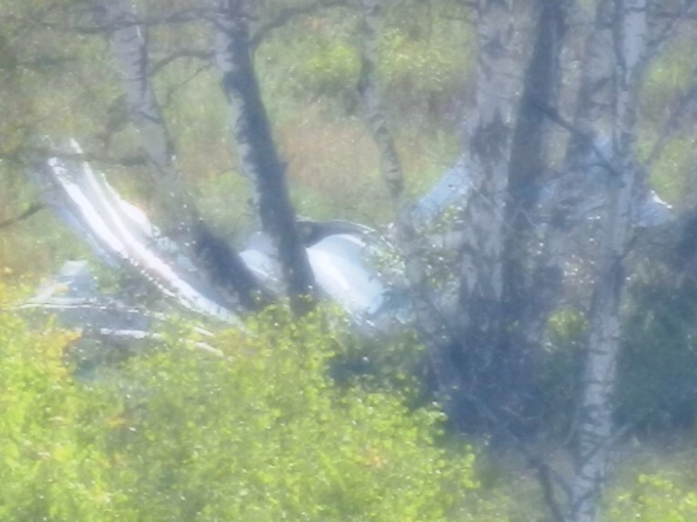 ������������� �����������