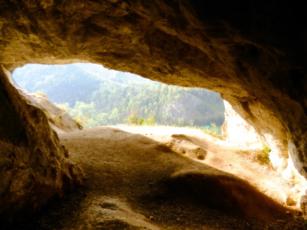 ������������� �����������