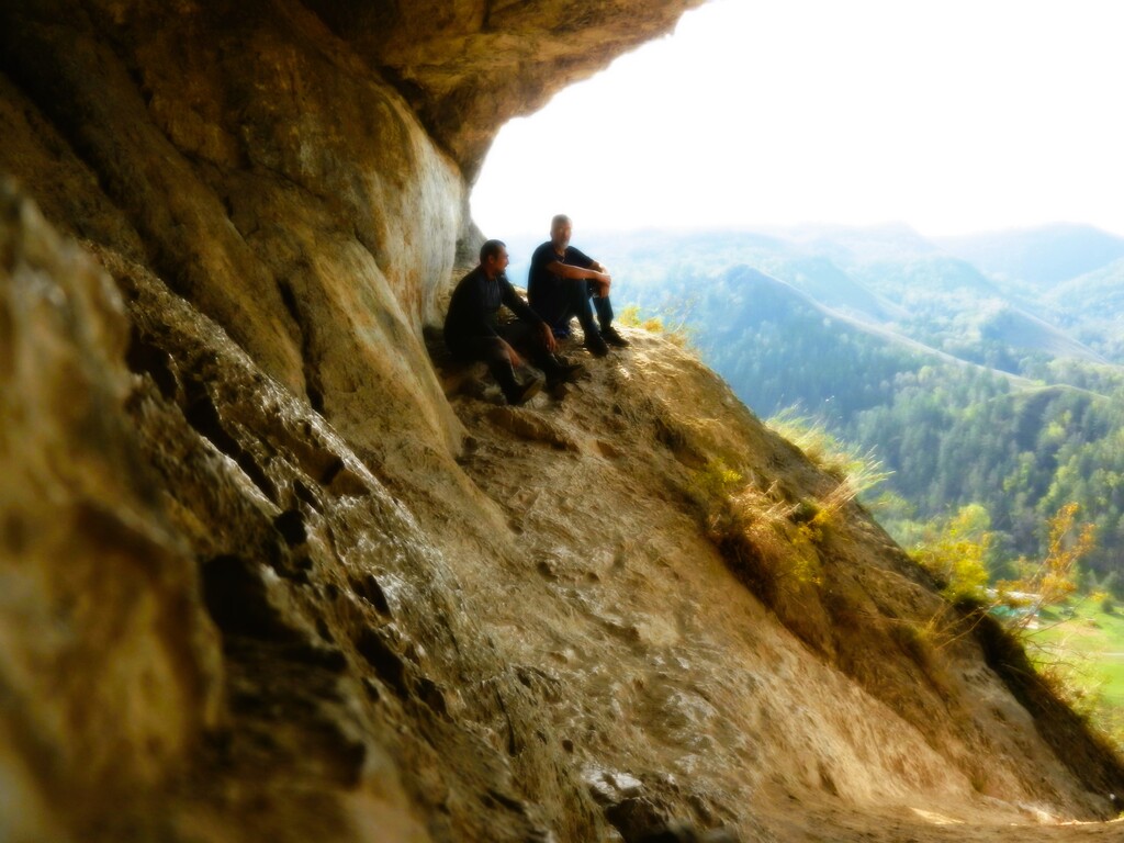 ������������� �����������