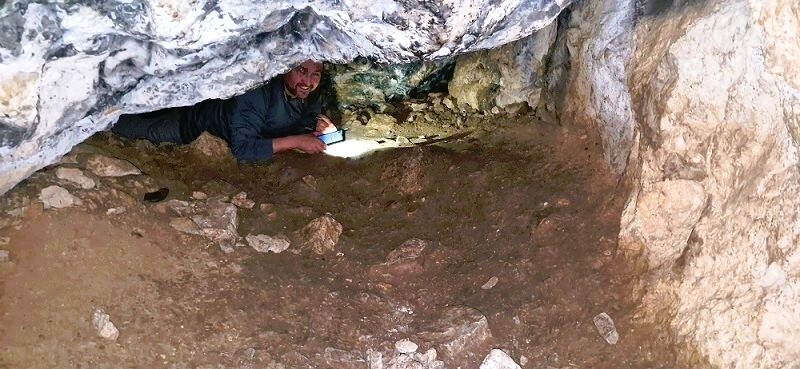 ������������� �����������