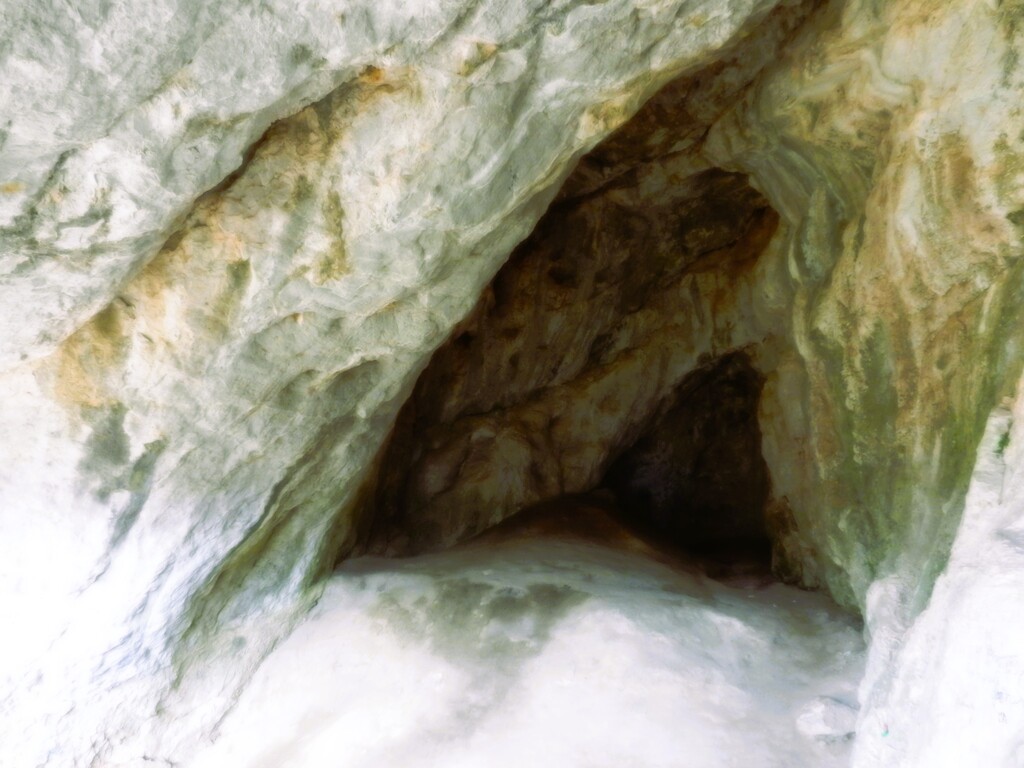 ������������� �����������