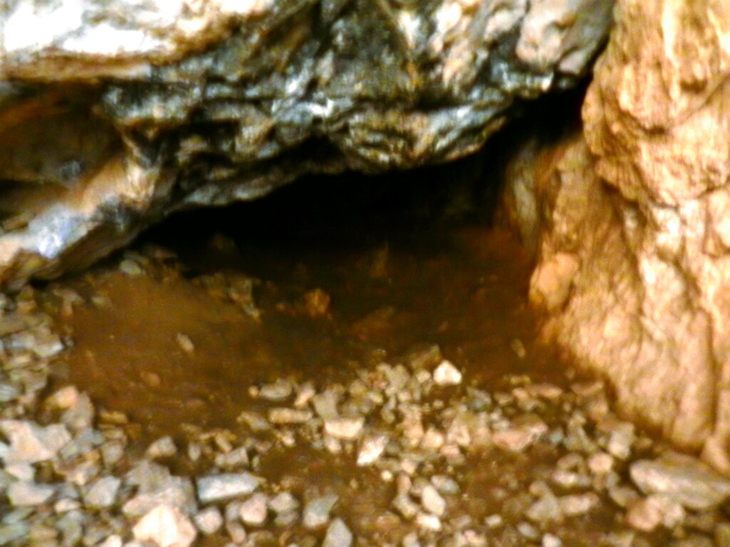 ������������� �����������