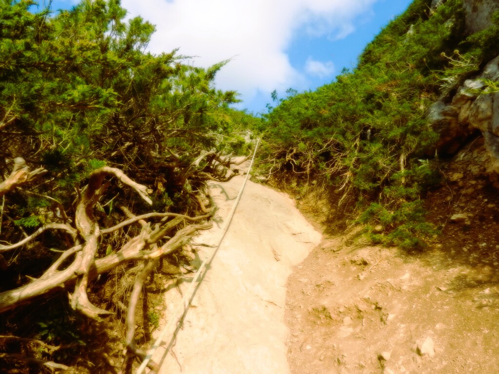 ������������� �����������