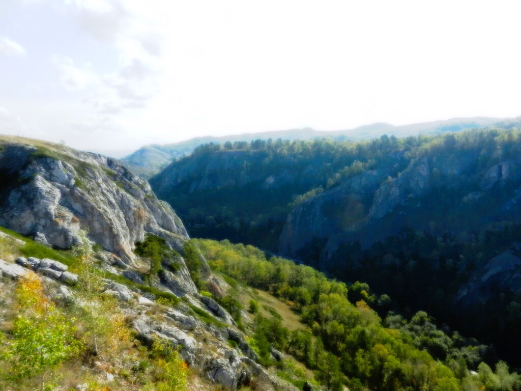 ������������� �����������