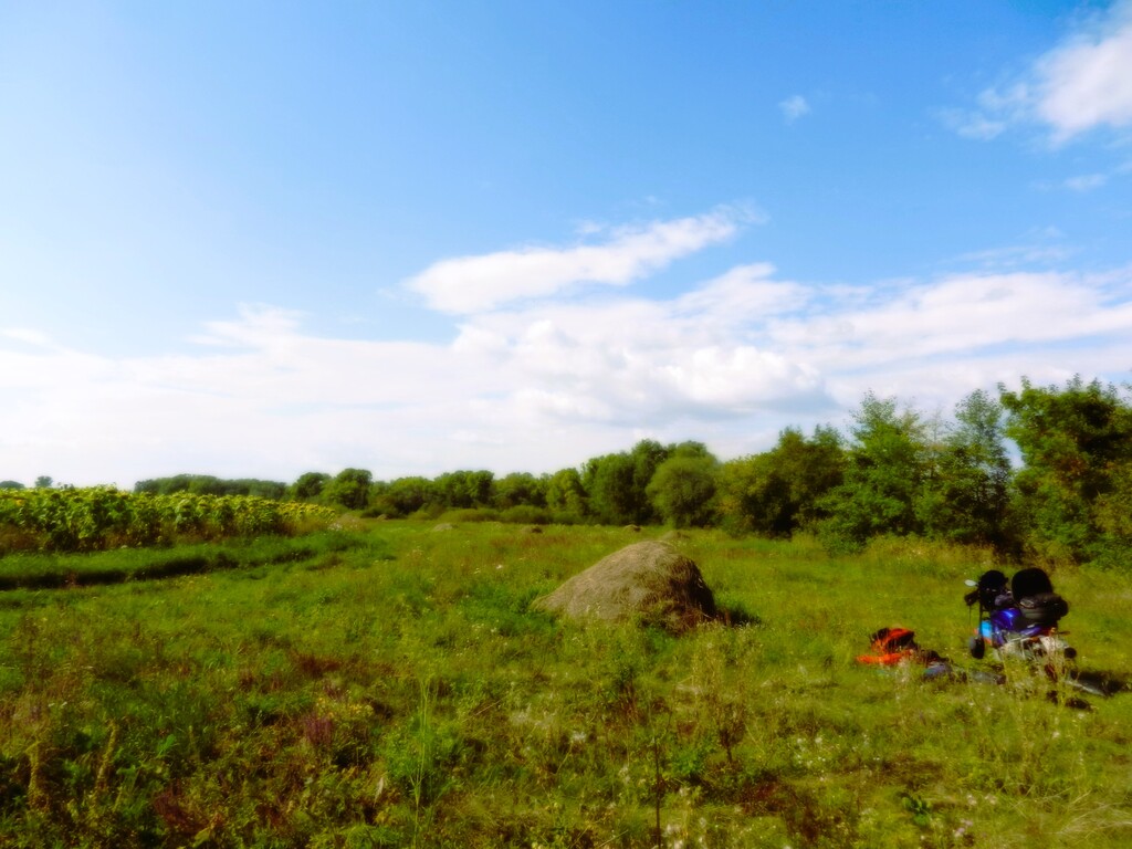 ������������� �����������