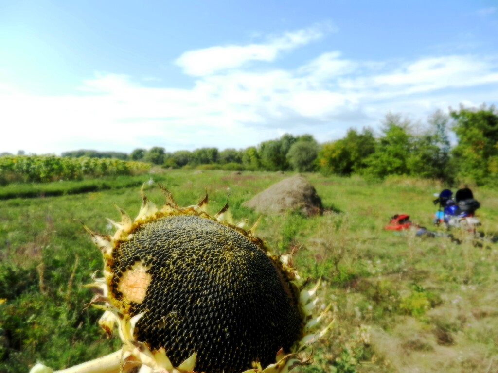 ������������� �����������